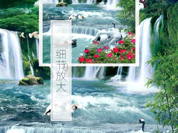 救援受困的小野猫